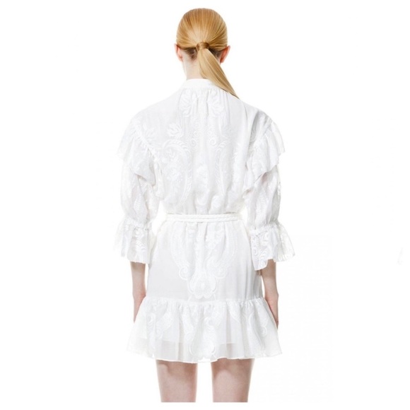 alice + olivia teddi dress size 8 NWT - Picture 9 of 14